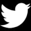 Tweeter